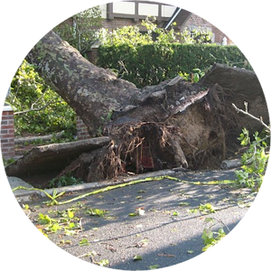 debris removal