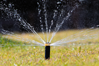 lawn-sprinkling-Vazquez-landscape-maintenance