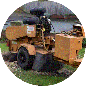 stump grinding